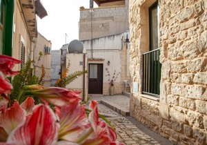 Anticu Dammusu 3