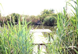 AP2127 Mar y Sol Deveses