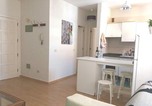 APARTMENT OSSUNA (LA LAGUNA-CENTRO)