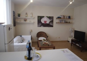 APARTMENT OSSUNA (LA LAGUNA-CENTRO)