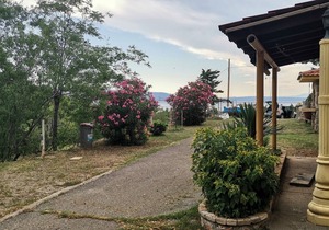Apartment Andrea (82591-A2) - Klenovica (Novi Vinodolski)