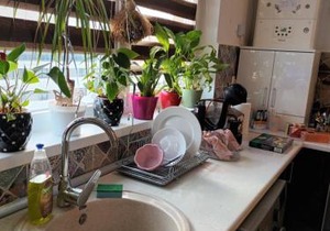 Apartament 2 camere