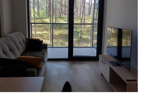 Apartament Sosnowy Shellter Rogowo