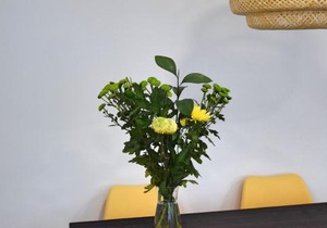 Apartamento Soho Solo Familias