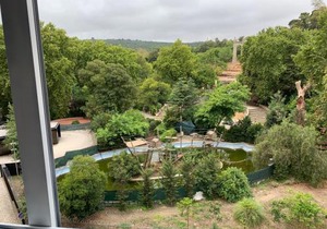 Apartamento vista frontal zoo