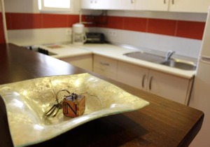 Apartamentos Nundinae