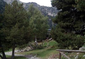 Apartaments l'Arrel