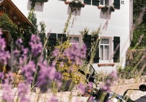 Apartamenty Sudeckie nad zalewem
