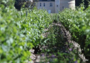 Aparthotel Adagio Access Bordeaux Rodesse