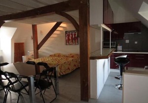 ApartHotel François 1er - 16ème