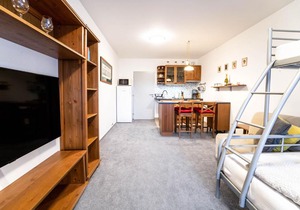 Apartmán Harrachov 608