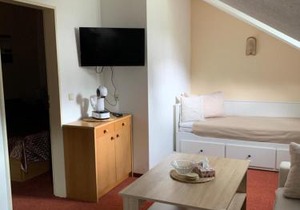 Apartmán Viki
