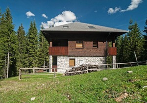 Apartma Medved 910.5