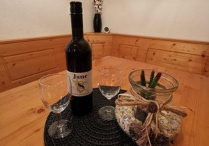 Apartma Pohorje Bolfenk 5010