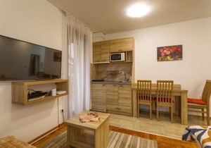 Apartman Gavrilov 2