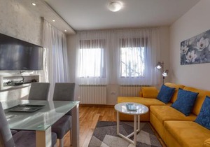 Apartman Gavrilov 4