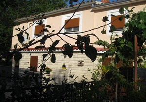 Apartman Marija i Živko Manjadvorci