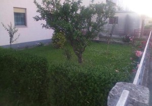 Apartmani Ledenko