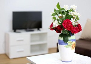 Apartmani Mlinar9 #1