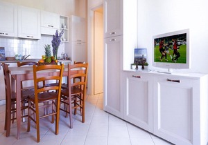 Apartment in Tuscany near Chianti Vineyards