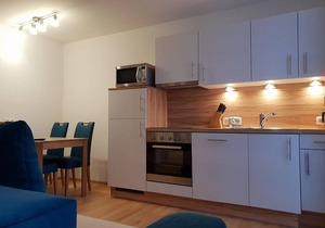 Apartment no. 1 with 3 bedrooms - Holiday apartment Ski-Hans