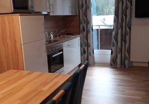 Apartment no. 9 with 1 bedroom/shower, - Holiday apartment Ski-Hans