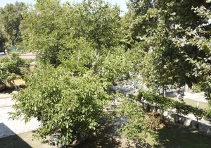 Apartment 107 - Achillion B&B, close to the beach and Mount Olympus