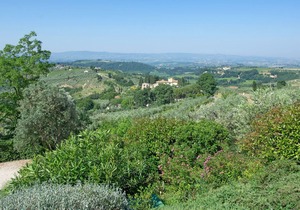 Apartment with A/C, WIFI, pool, pets allowed, panoramic view, parking, close to Greve In Chianti