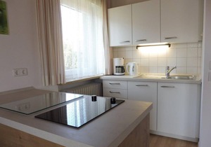 Apartment 1 with 2 bedrooms and a large south-facing balcony