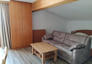 Apartment 1 - Zehentner, house