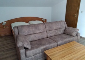 Apartment 1 - Zehentner, house