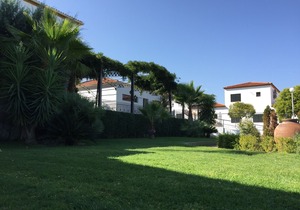 Apartment 15 (WIFI + Patio + Parking)