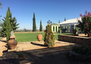 Apartment 15 (WIFI + Patio + Parking)