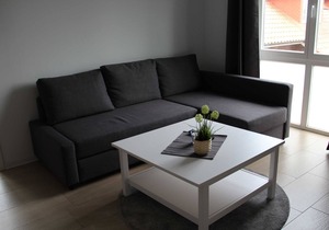 Apartment 217 Osterhörn - Natura Ferienhäuser am Holter Hammrich 95153