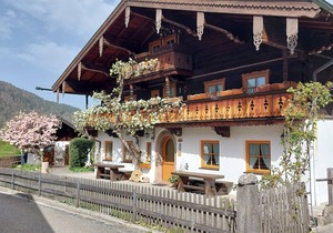 Apartment 21sqm, upper floor, combi. Bedsitter, kitchenette, WLAN, max. 2 p.