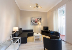 Apartment 300 meters from the Sagrada Familia Temple - FREE WIFI