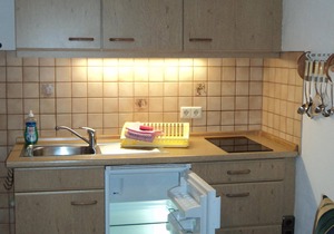 Apartment 38sqm, balcony, kitchenette, 1 bedroom, WLAN, no pets