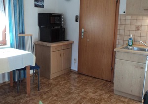 Apartment 38sqm, balcony, kitchenette, 1 bedroom, WLAN, no pets