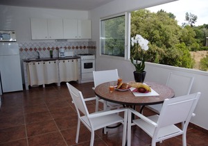 Apartment 4 pers, 1st floor, no sea view, direct access to the beach