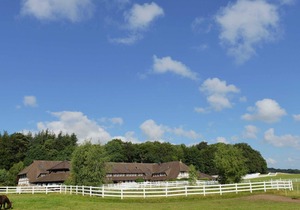 Apartment. 6 - Ralswiek horse farm