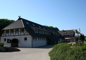 Apartment. 6 - Ralswiek horse farm