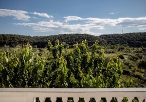 Apartment Ante A1 Kampor