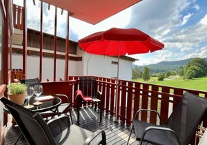 Apartment App- 1406 - EX-Kurhotel Schluchsee by Interhome