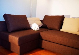 Apartment / app. for 2 guests with 77m² in Groß Wittensee (12854)