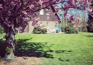 Apartment / app. for 2 guests with 33m² in Jork (125792)