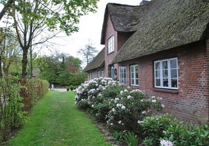 Apartment / app. for 4 guests with 60m² in Alkersum (109485)
