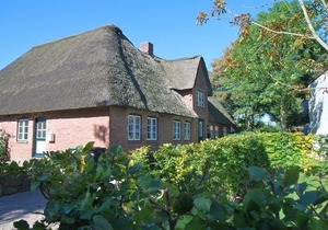 Apartment / app. for 4 guests with 60m² in Alkersum (109488)