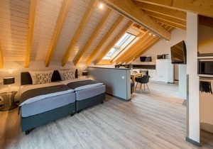 Apartment / app. for 4 guests with 33m² in Bensheim (96095)