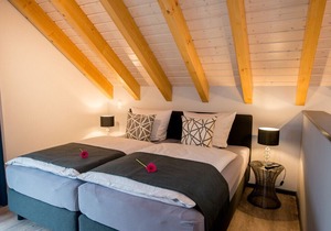 Apartment / app. for 4 guests with 33m² in Bensheim (96095)