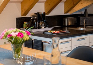 Apartment / app. for 4 guests with 33m² in Bensheim (96095)